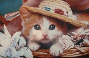 Картина - наволочка 44*64 " Котенок в шляпе"